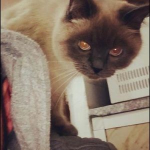 Meet your Posher, Marco